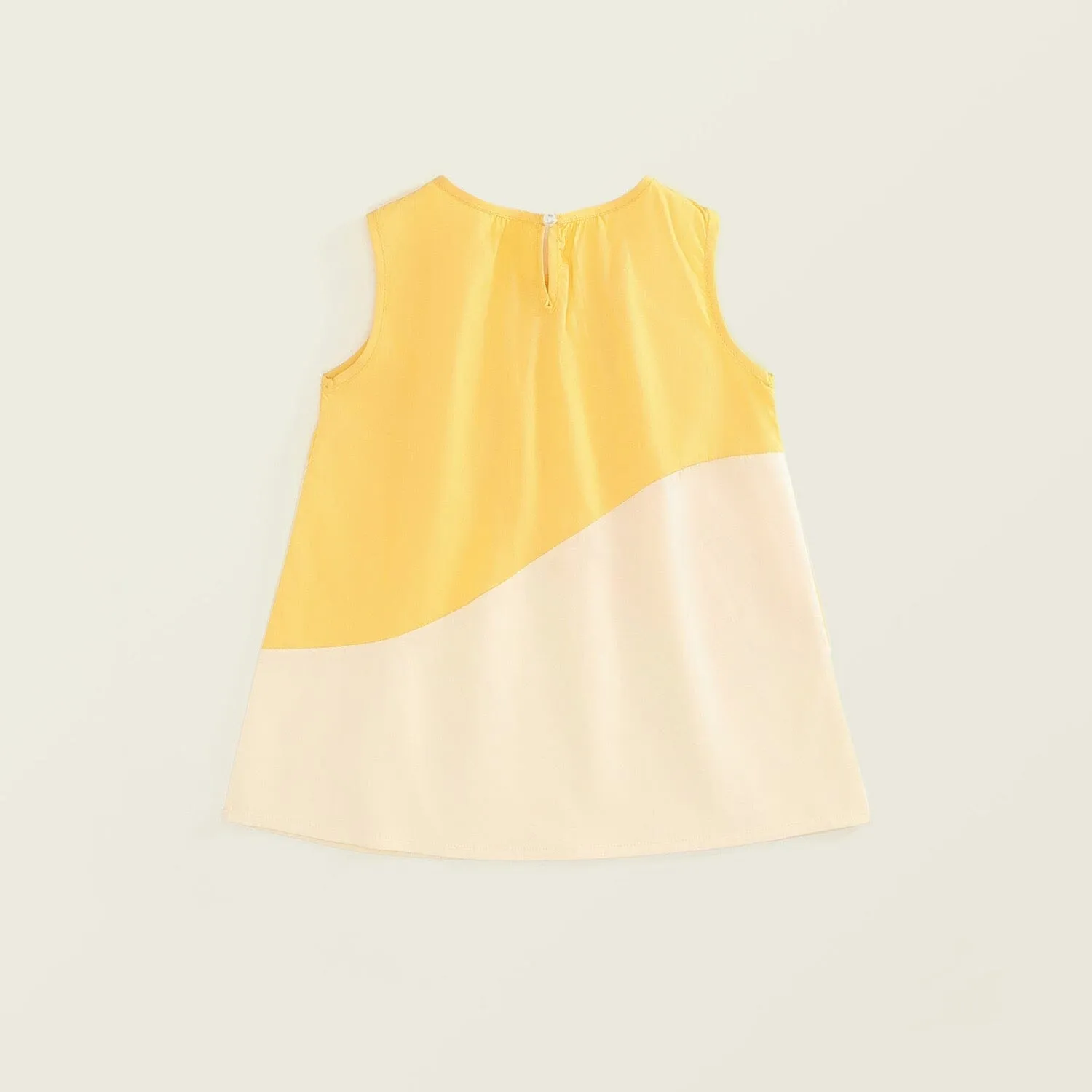 Tonal Color Block A-Line Sleeveless Dress